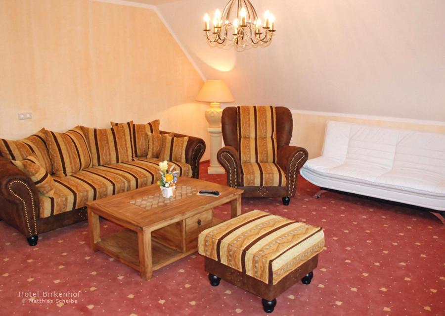 Posezení v ubytování Hotel Birkenhof Garni