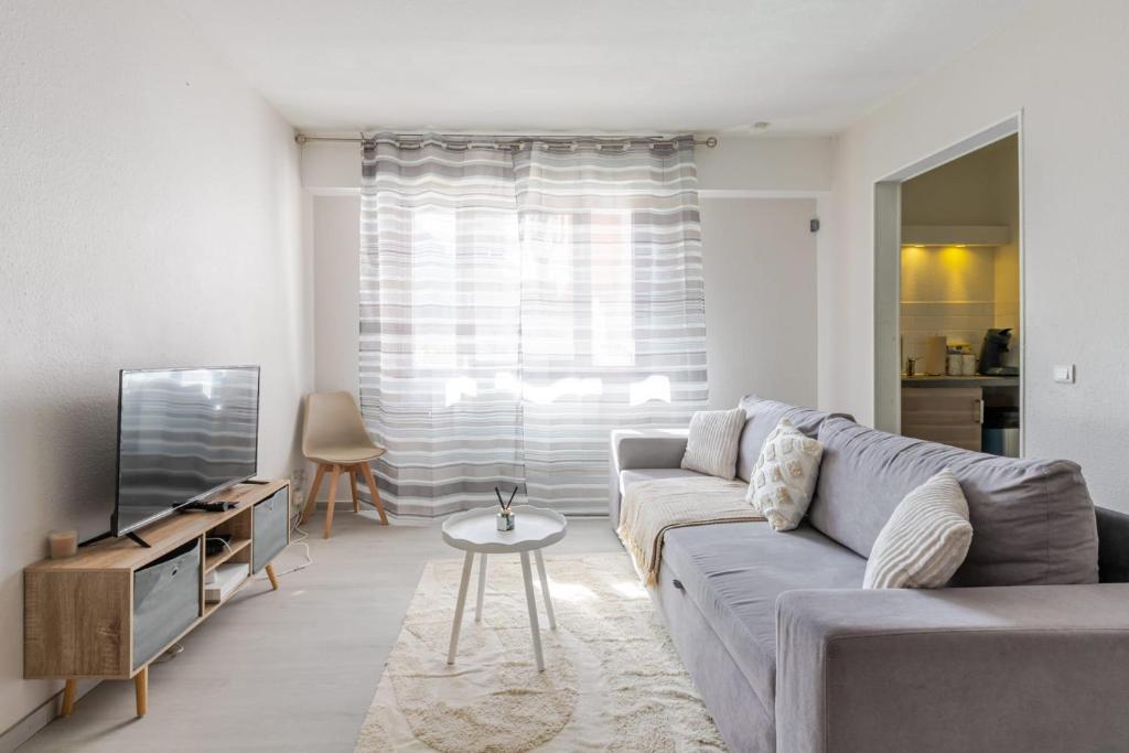a living room with a couch and a tv at Appartement cosy à Strasbourg in Strasbourg