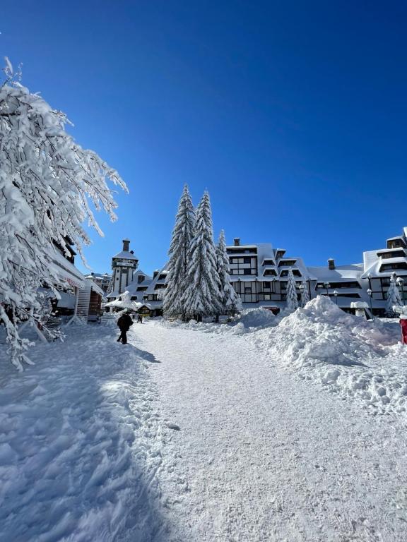 a person riding a snowboard down a snow covered street at Apartments Konaci BOOKING in Kopaonik