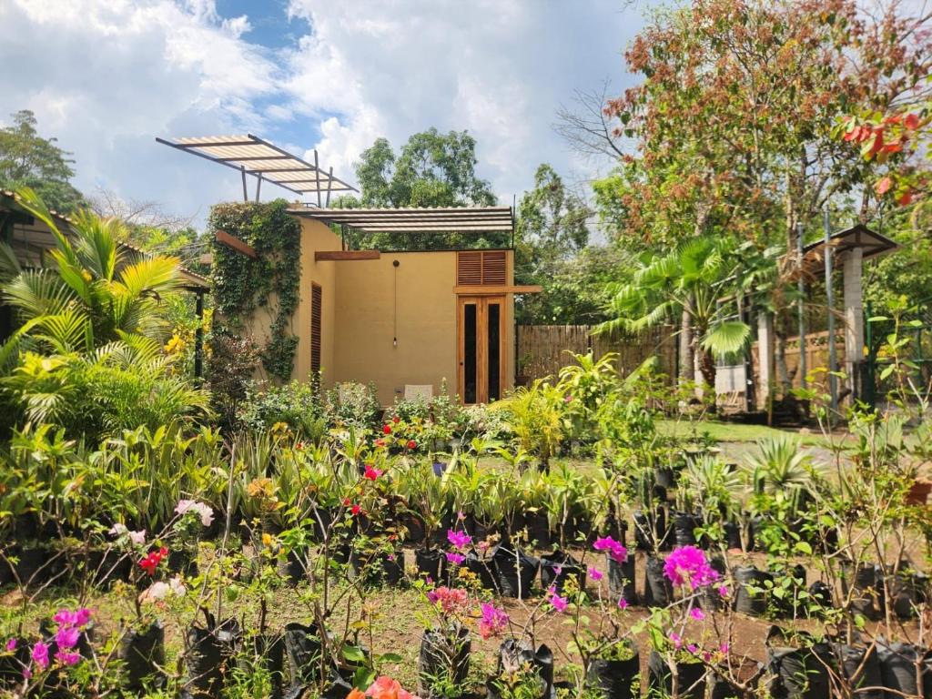 a garden with flowers in front of a house at Mango Soul in El Zonte