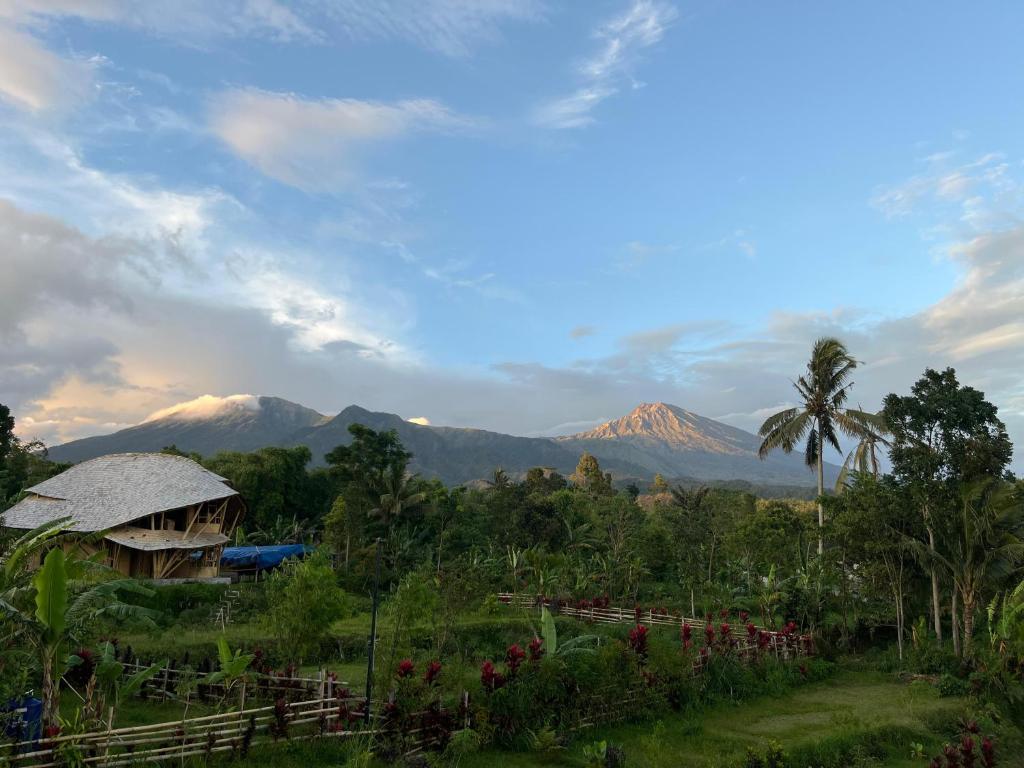a mountain in the distance with a house and trees at Mimpi Manis Villas in Tetebatu