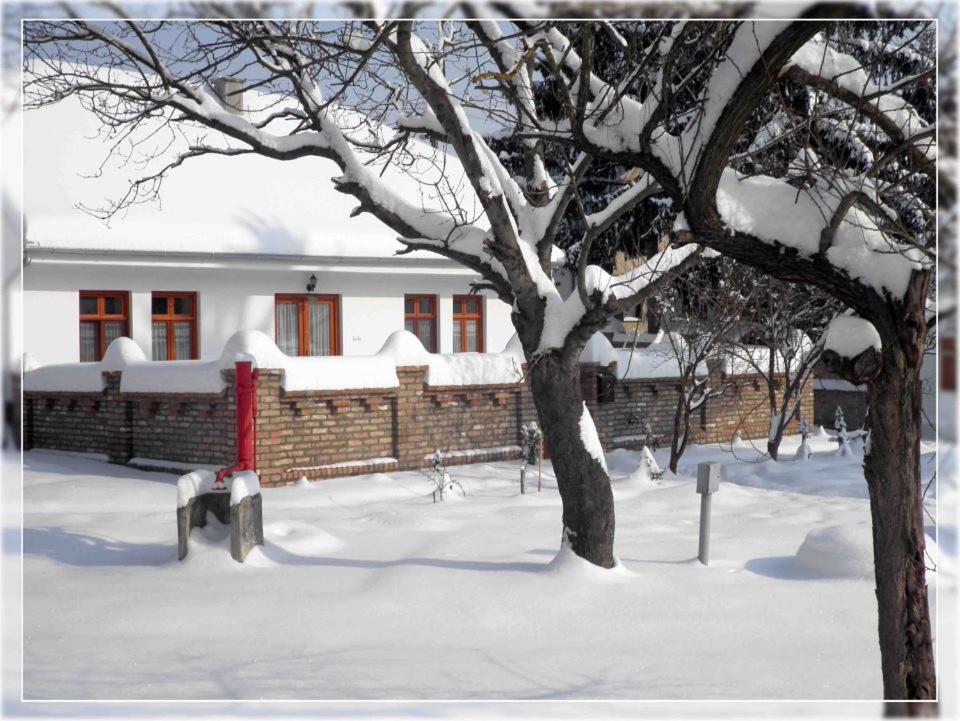 a snow covered tree in front of a house at Bogyólak Palkonya in Palkonya