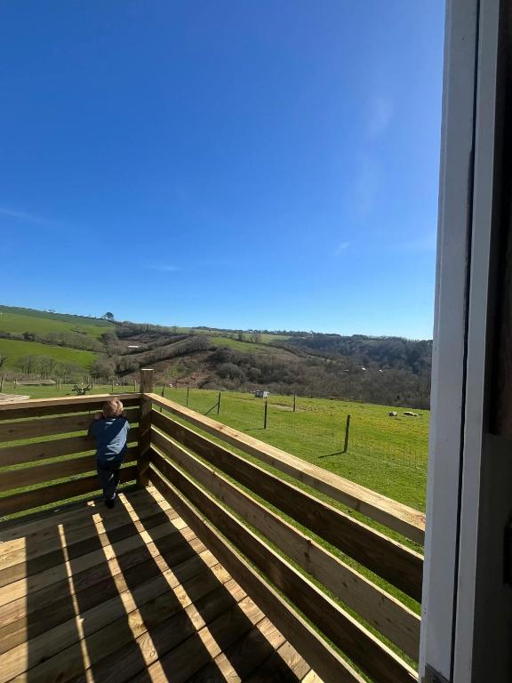 a little boy standing on a fence looking at a field at Dora's 5 Berth Static with stunning views in Saint Martin