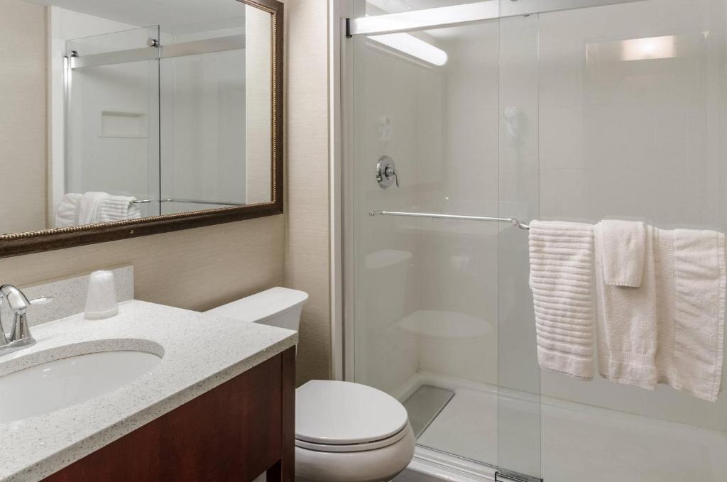 Comfort Inn & Suites West Springfield photo