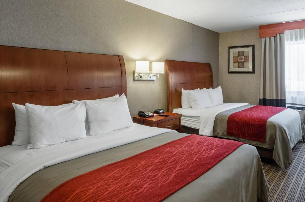 Comfort Inn & Suites West Springfield photo