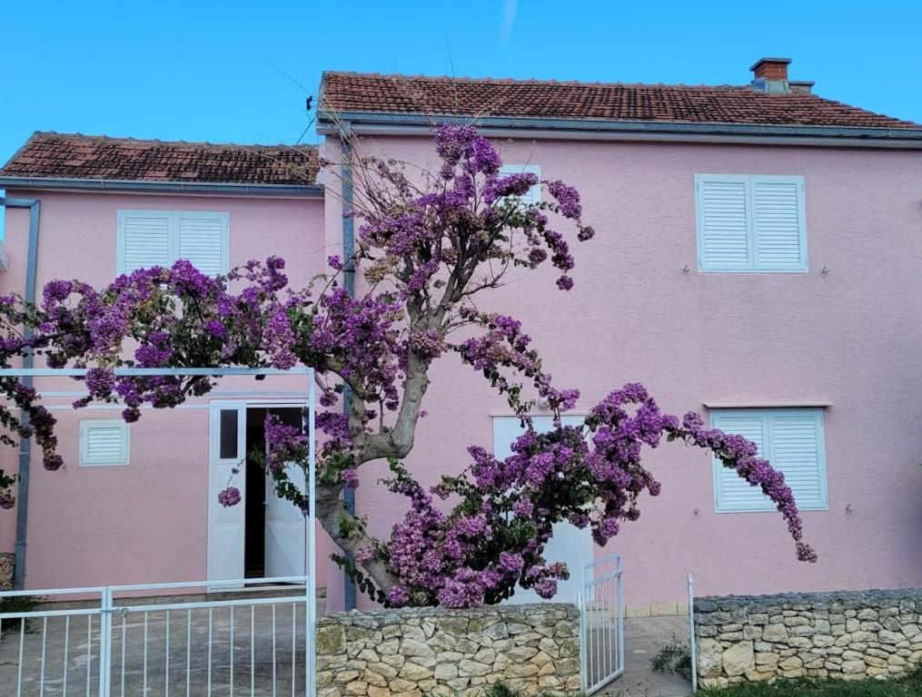 a purple tree in front of a pink house at Holiday Home Roza in Mirce
