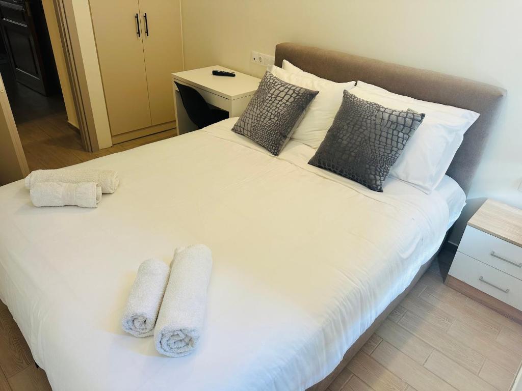 Brown Port 2 bedroom 2wc flat