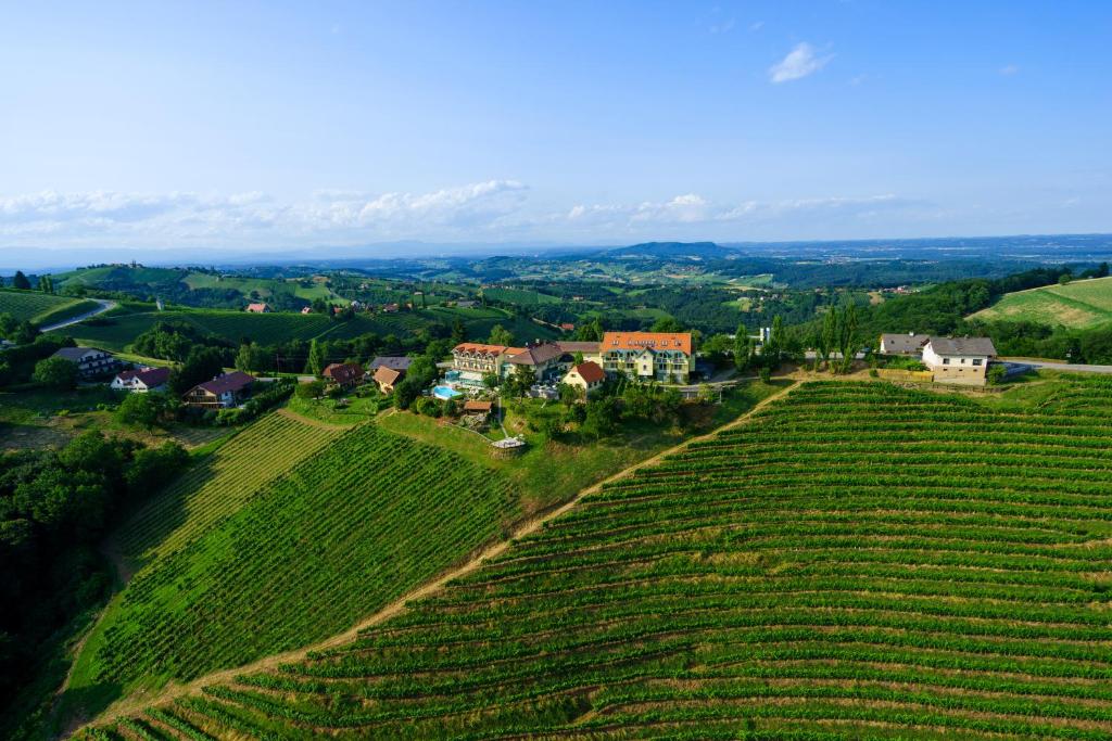 an aerial view of a vineyard on a hill with houses at das kappel wein gut hotel in Kitzeck im Sausal