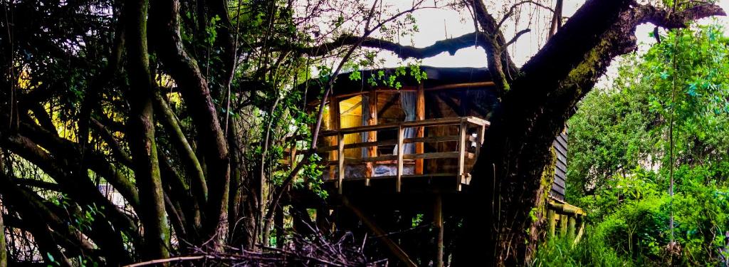 Zahrada ubytování Reserva los Bollenes