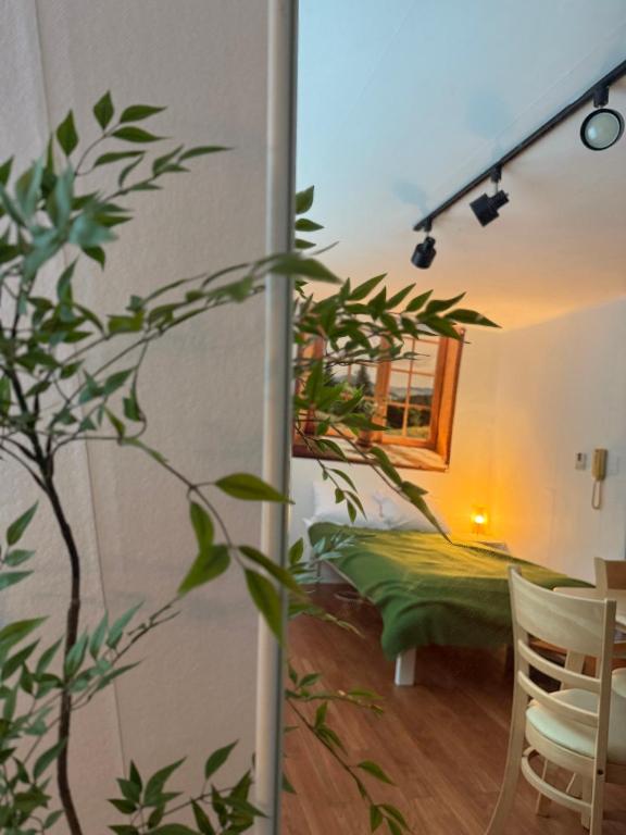a room with a plant in the foreground and a bedroom at YuYu stay in Seoul