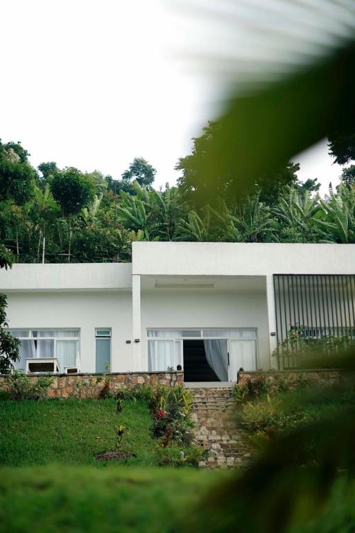 Bikono retreat, Rutsiro (updated prices 2026)