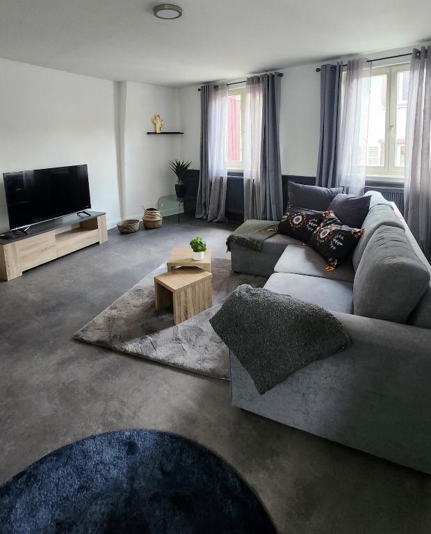 a living room with a couch and a tv at Charmant logement hyper centre in Sélestat