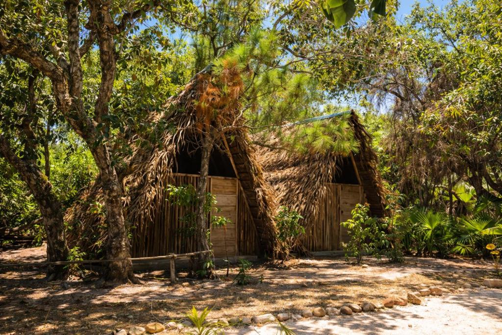 a thatched hut in the shade of trees at Muluk Grove Lodge in Placencia