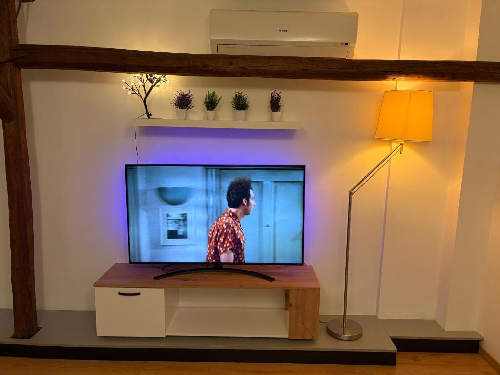 a living room with a television with a man on it at Comfy Attic in Pančevo