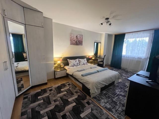 a bedroom with a large bed and a mirror at Апартамент за гости in Razlog
