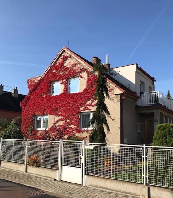 a house with red ivy on the side of it at apartman pro 4 osoby in Česká Skalice