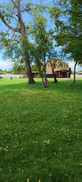 Domo cudico espacio natural