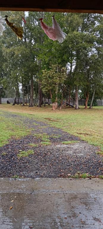 Domo cudico espacio natural