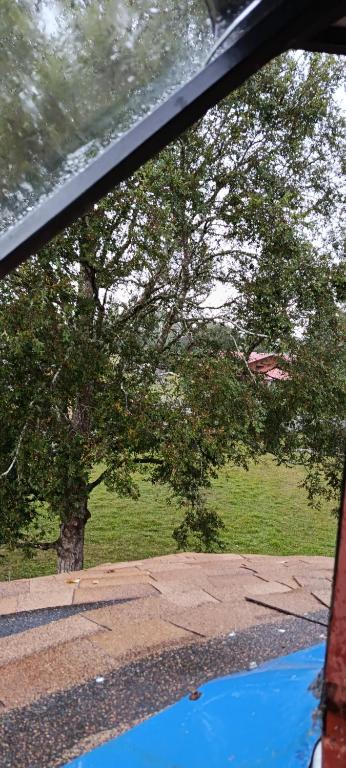 Domo cudico espacio natural