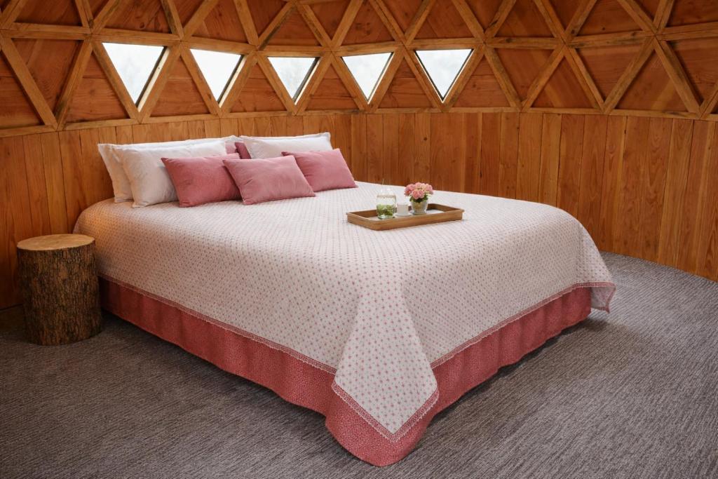 Domo cudico espacio natural