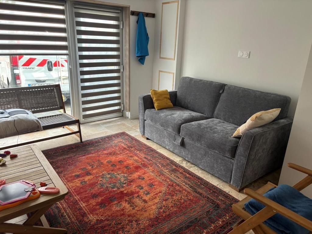 a living room with a gray couch and a rug at Chez mohamed in Mons-en-Baroeul
