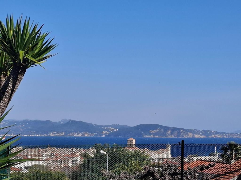 a view of the ocean and a city with a palm tree at Chez Anne in La Ciotat