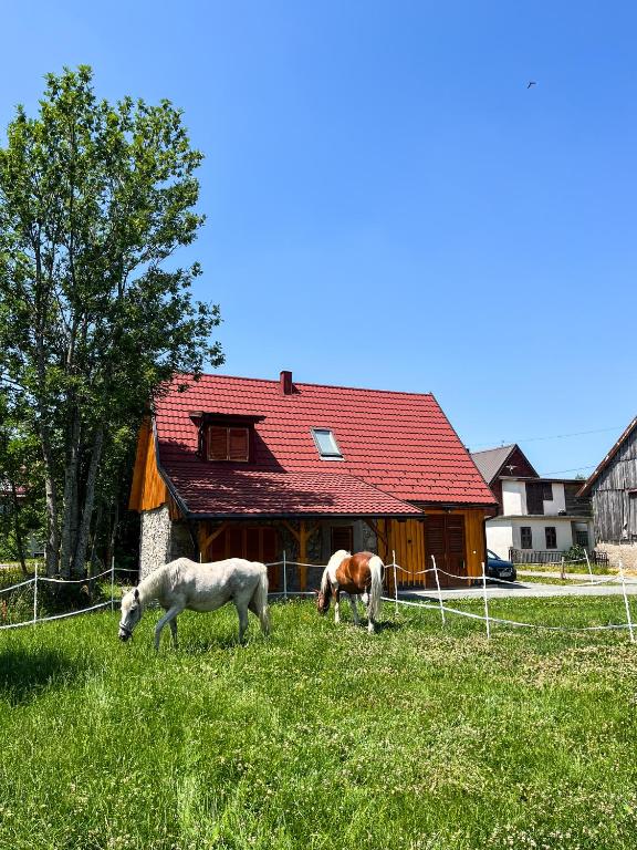 two horses grazing in a field in front of a house at Kuća za odmor Goranski mir in Mrkopalj