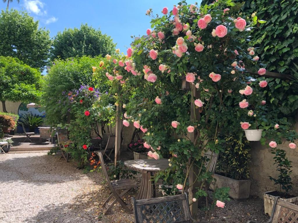 a bunch of roses growing on a bench in a garden at Nice Garden Hotel in Nice