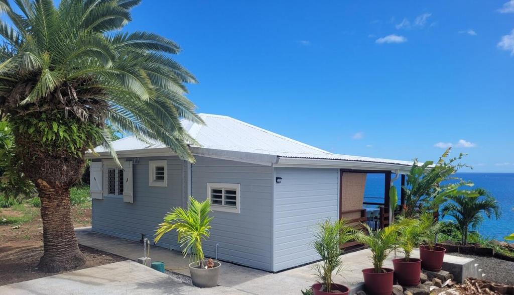 a house with a palm tree in front of the ocean at Ti Kaz Robin in Trois-Rivières