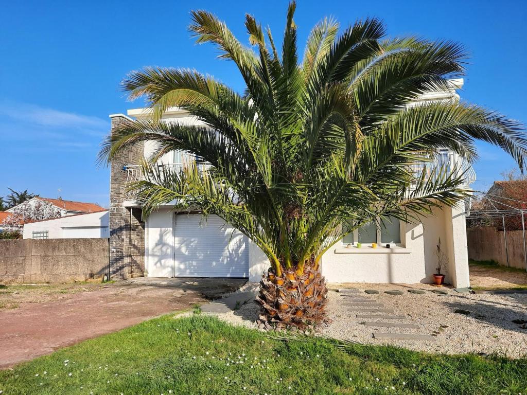 a palm tree in front of a house at Les chambres de Noëlla in LʼAiguillon-sur-Vie