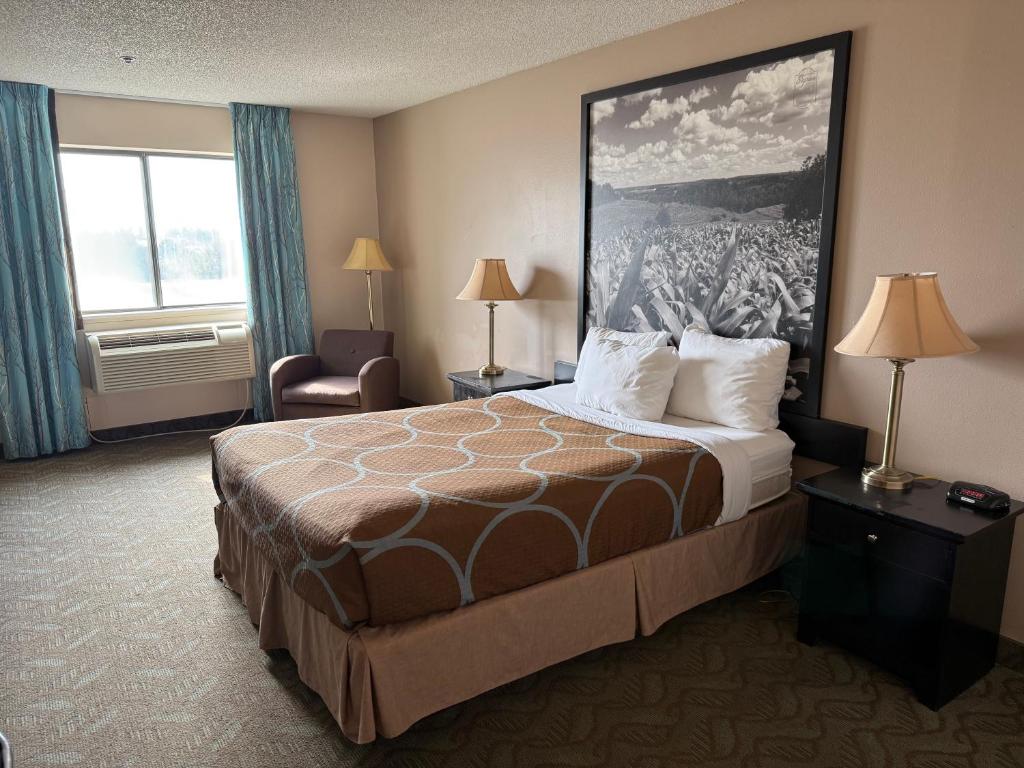 Dodgeville inn & suites - Chambre Lit Queen-Size Standard