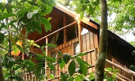 una cabaña de madera en los árboles con el sol brillando en Bayrams Tree Houses, en Olympos