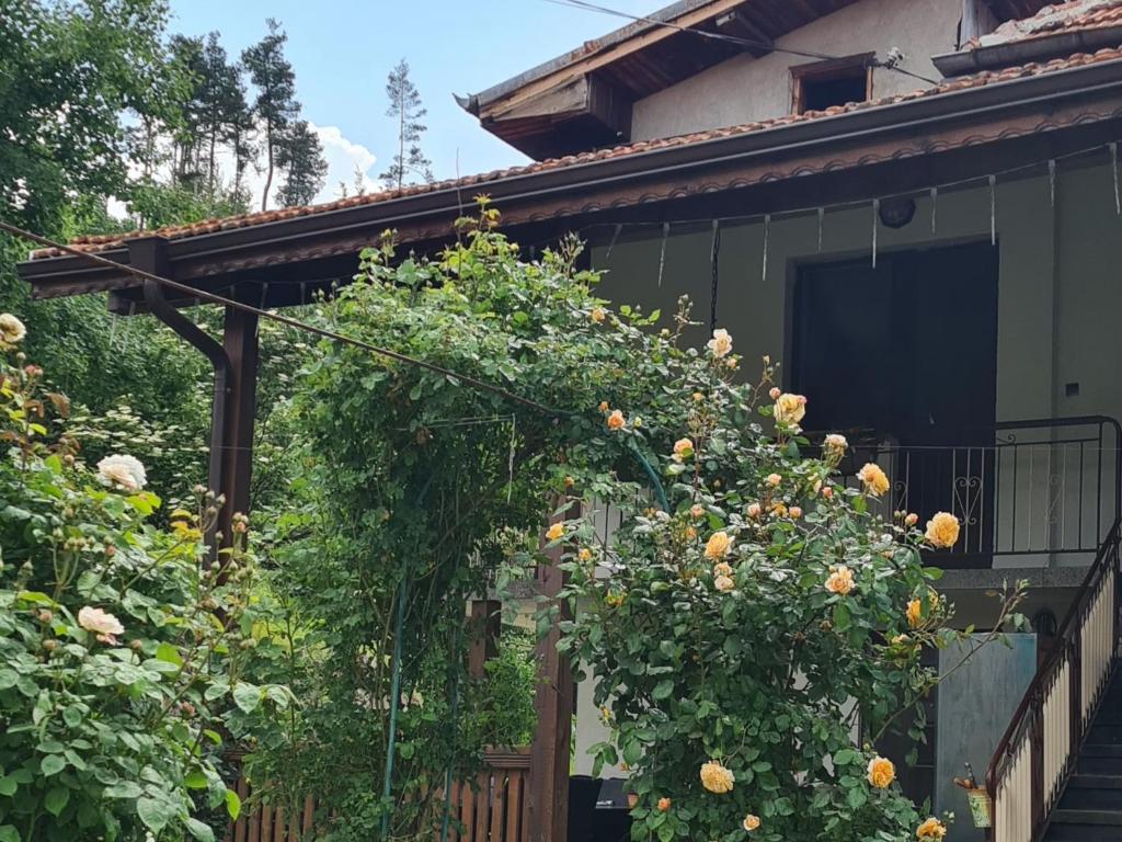 a garden with roses growing on a fence at Nayri HOUSE Самоков,село Доспей in Dospey