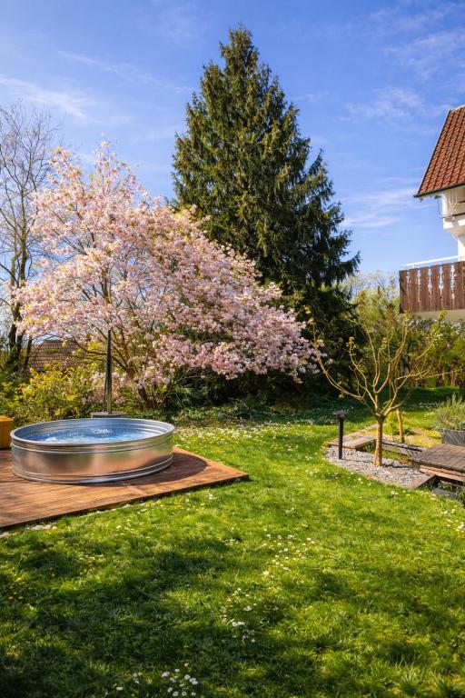 a garden with a large bowl in the grass at Ruhestifter-Salem mit Aromasauna und Hot Tub bis zu 10 Personen in Salem