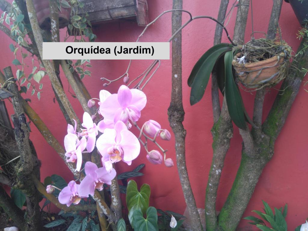  Apartamento Quarto e Sala (Pontal)