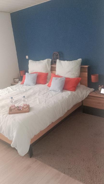 a large bed with white sheets and red pillows at Rustpunt Lindthorphe - Via Helvetica in Hoogstede
