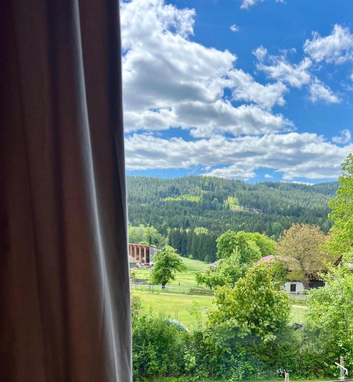 Gemütliche Ferienwohnung in Bodenmais I Sauna I Blick Silberberg - Appartement 2 Chambres Avec Vue Sur Jardin