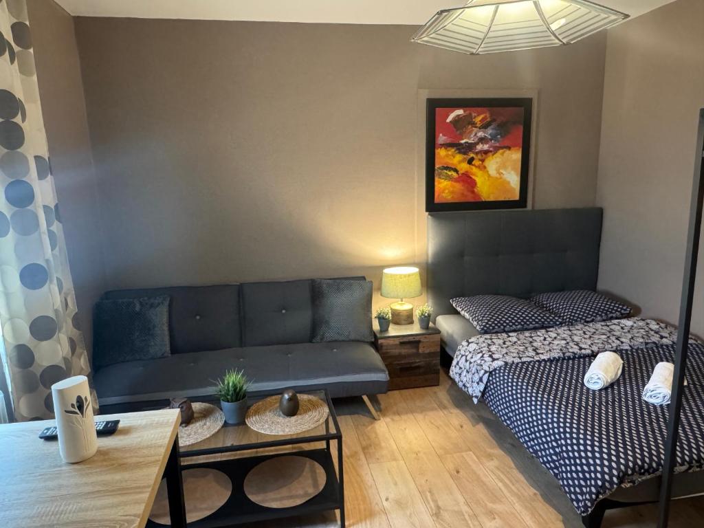 Studio Mulhouse – photo 10