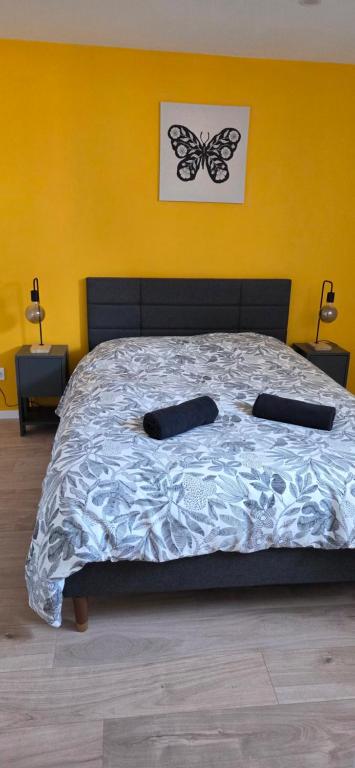 Girasol - Mulhouse Proche Centre – photo 2
