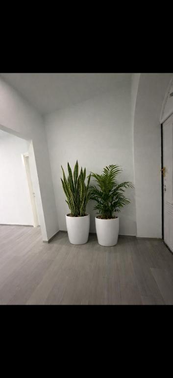 two plants in white pots in a room at Dzor house in Yerevan