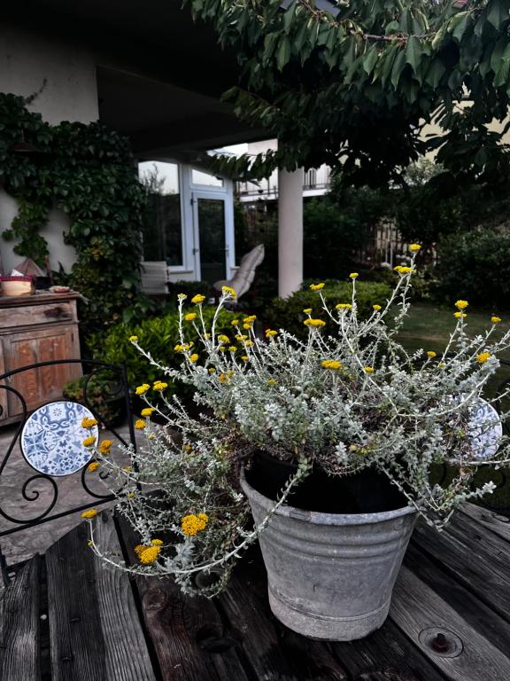 Il giardino di Chiara 1 Rifugio per anime stanche - Error