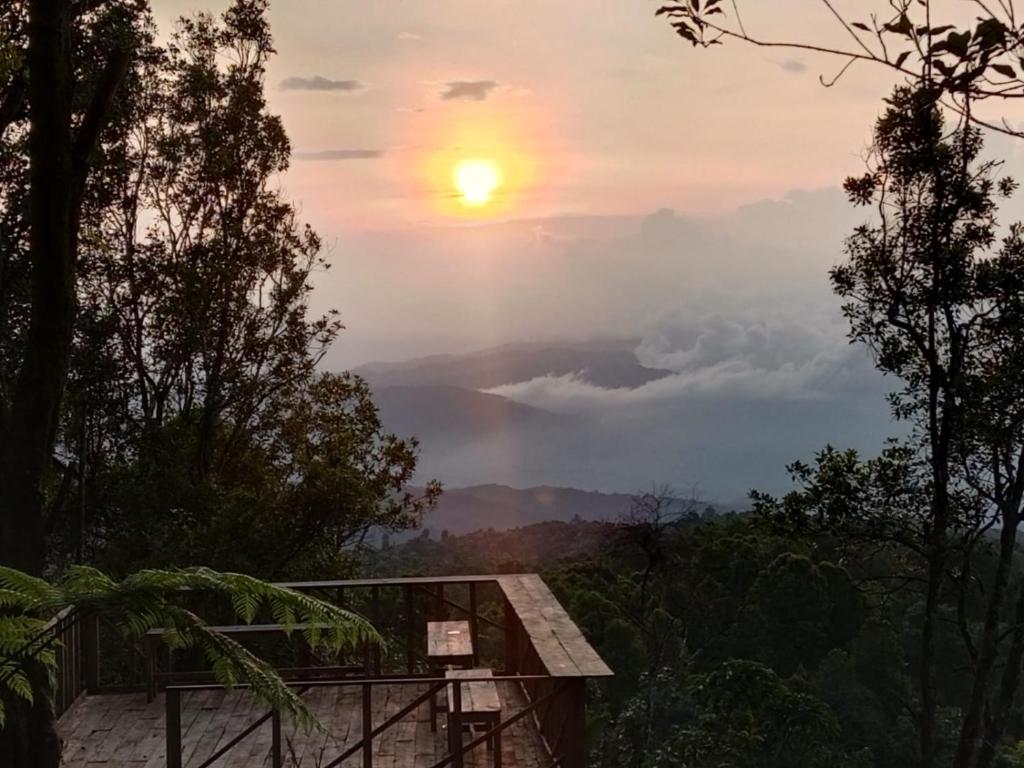 a view of the sunset from a tree house at Kubu Waru Bali in Munduk