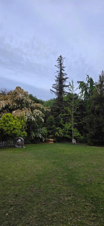 a green field with trees and a tree at Bed&Breakfast in Maipo