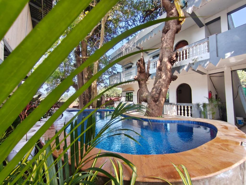 a swimming pool in a house with a tree at Sarovar Ashwem in Mandrem