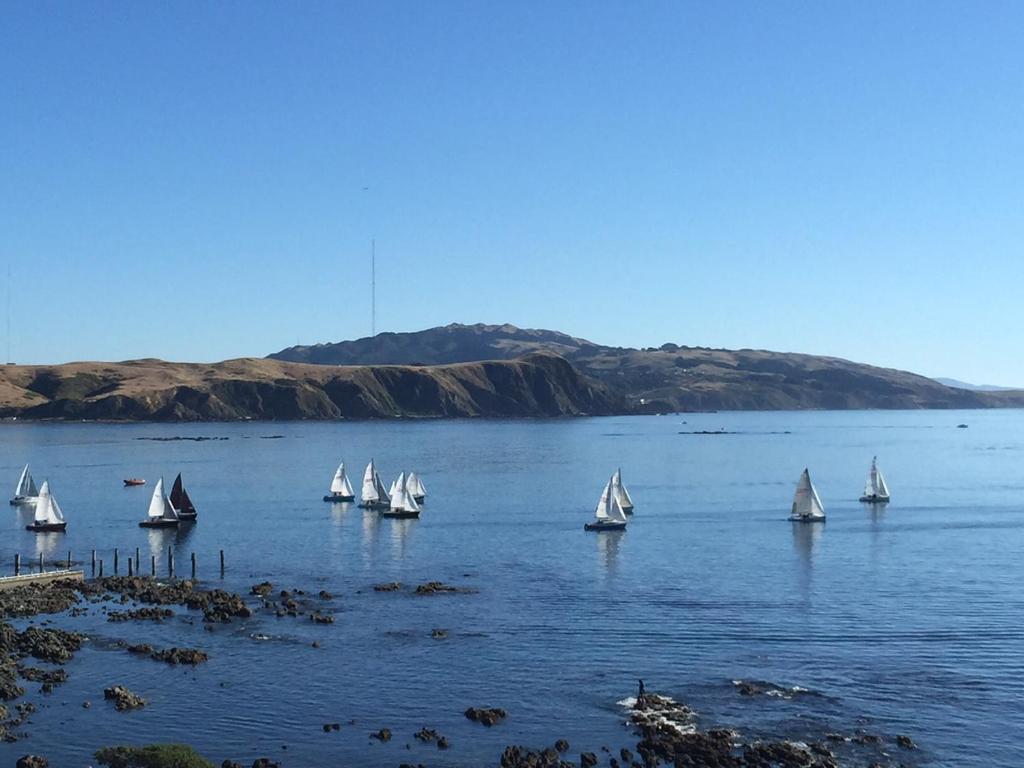 a group of sailboats on a large body of water at Ocean View Self-contained Apartment in Porirua