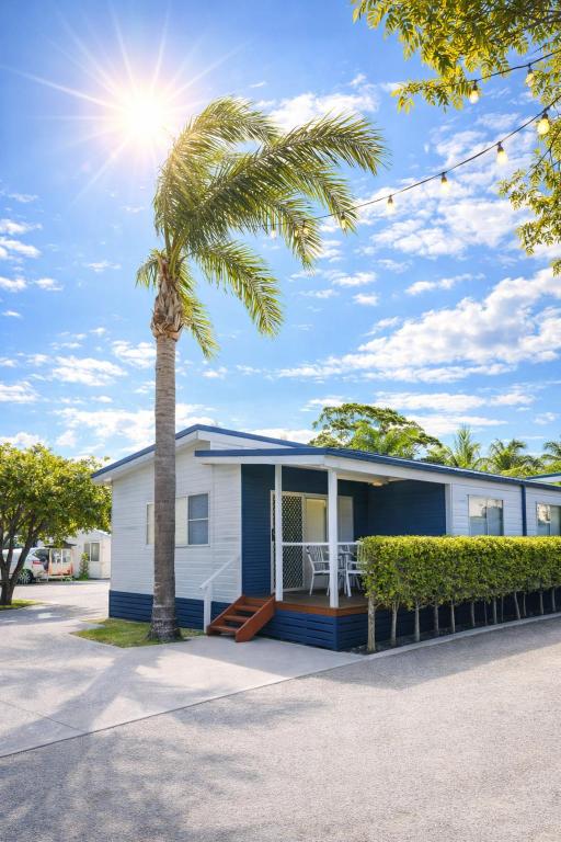 a palm tree in front of a house at Badgee Park in Sussex Inlet