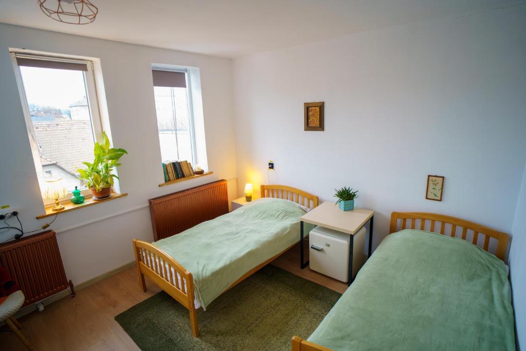 two beds in a room with two windows at Lumiere Studio 2 in Sfântu-Gheorghe