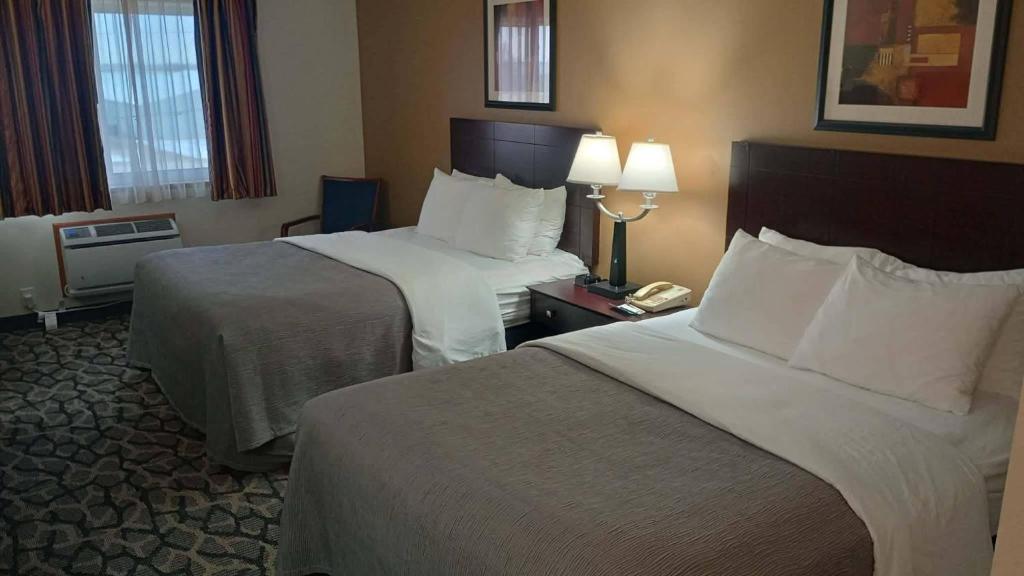 Quality Inn & Suites Eldridge Davenport North - Habitación Con 2 Camas Grandes - No Fumadores