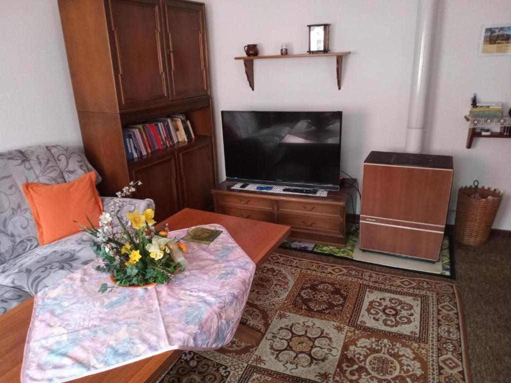 a living room with a couch and a tv at Casa Wüstner in Dinkelsbühl