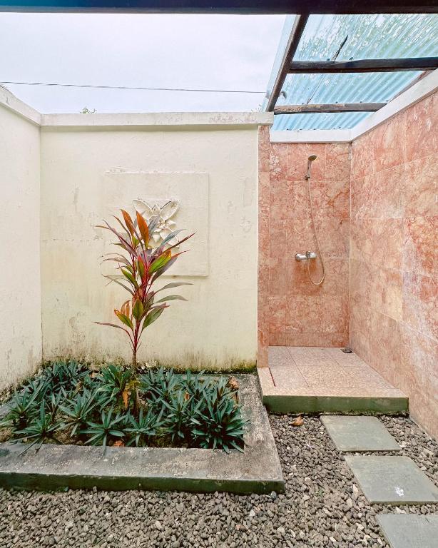 a bathroom with a shower and a plant at Lorin Resort Belitung in Sijuk